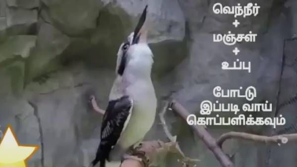 நல்லா நிமிர்ந்து நின்னு.. 