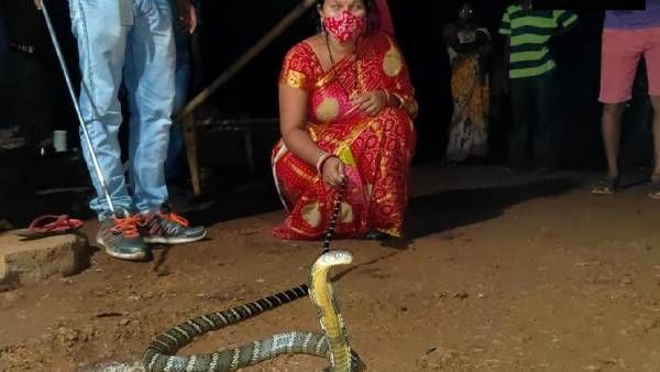 8 அடி ராஜநாகம்கூட இவருக்கு ஜுஜுபி தான்.. லாவகமாக பாம்பு பிடித்து அசத்தும் ஒடிசா பெண்!