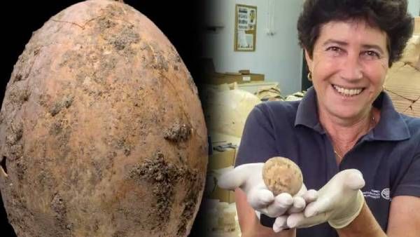 மாயமில்ல.. மந்திரமில்ல.. 1000 வயதான கோழி முட்டை.. உடையாத அதிசயம்.. வியப்பை தந்த கண்டுபிடிப்பு..!