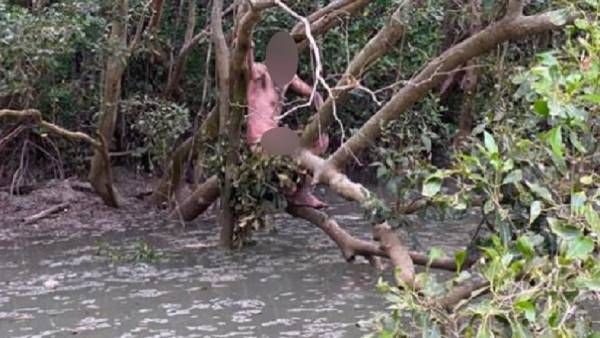 நடுக்காட்டில் வழிதெரியாமல் சிக்கிய 2 ஆண்கள்.. விமானம் மூலம் மீட்ட போலீசுக்கு காத்திருந்த அதிர்ச்சி!