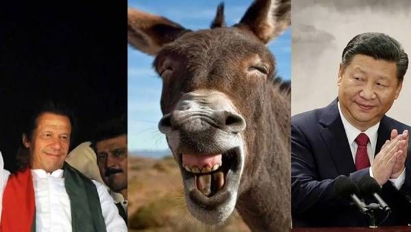 இம்ரான்கானுக்கு இப்படி ஒரு பெயரா? சீனாவுக்காக செய்யும் சூப்பர் வேலை.. பாவம் கழுதைகள்!