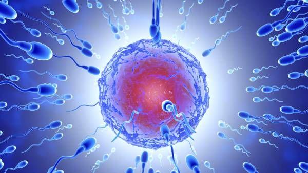 விந்தணு எண்ணிக்கை குறைந்து மலட்டுத்தன்மை.. கொரோனாவால் புதிய சிக்கல்.. உடனே டெஸ்ட் முக்கியம்