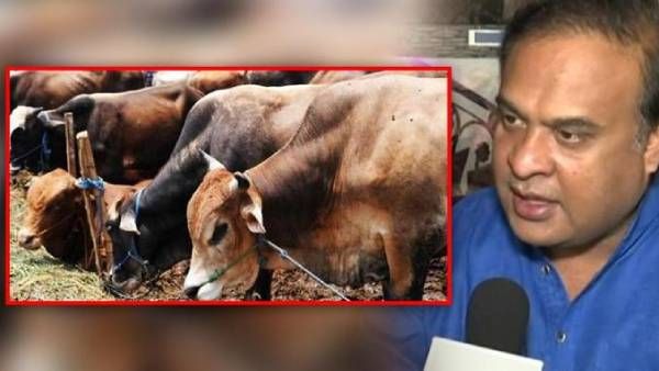 அஸ்ஸாம்:அங்கீகாரம் பெறாமல் மாடுகளை வெட்டினால் இனி 8 ஆண்டு வரை சிறை- வடகிழக்கு மாநிலங்கள் அதிருப்தி!