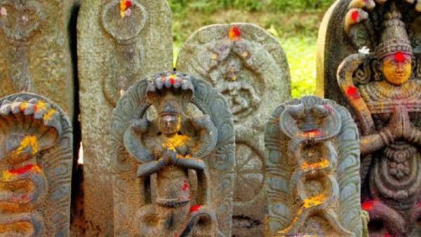 உலக பாம்புகள் தினம் : நாக தோஷம் நீக்கும் நாக பஞ்சமி விரதம் - பாம்புகளை வணங்கினால் என்ன நன்மை 