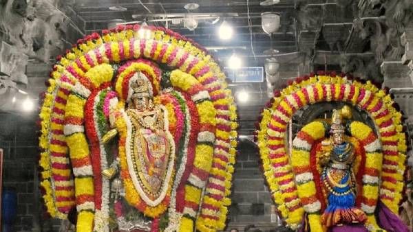 ஆடல்வல்லன் நடராஜனுக்கு ஆனித்திருமஞ்சனம் - சிவ ஆலயங்களில் பக்தர்கள் தரிசனம்