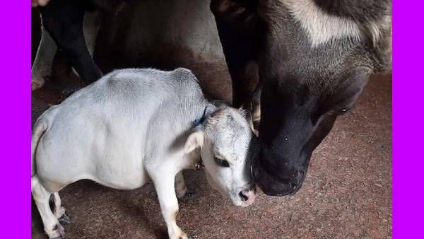 யார் இந்த 