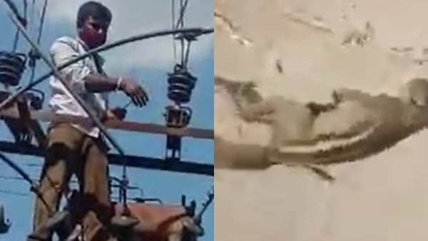 டிரான்ஸ்பார்மரில் ஏறிய அணில்.. 