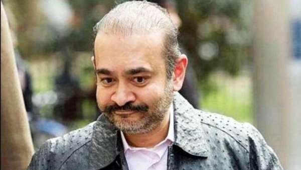 இந்தியாவுக்கு நாடு கடத்தினால்.. நீரவ் மோடி தற்கொலை செய்து கொள்வார்.. பரபரப்பை கிளப்பிய வழக்கறிஞர்