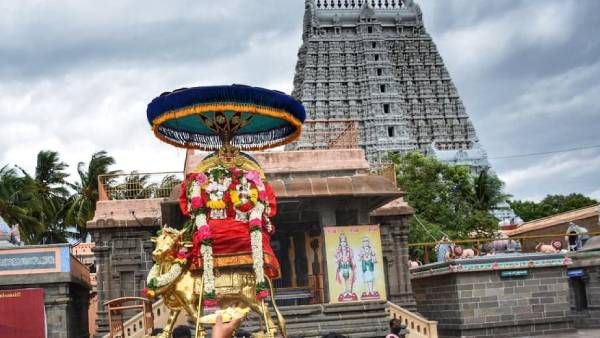 ஆடி வளர்பிறை பிரதோஷம்... சிவ ஆலயங்களில் கோலாகலம் - பக்தர்கள் வழிபாடு