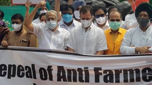 விவசாய சட்டங்களுக்கு எதிர்ப்பு: நாடாளுமன்ற வளாகத்தில் ராகுல் தலைமையில் காங். எம்.பிக்கள் போராட்டம்