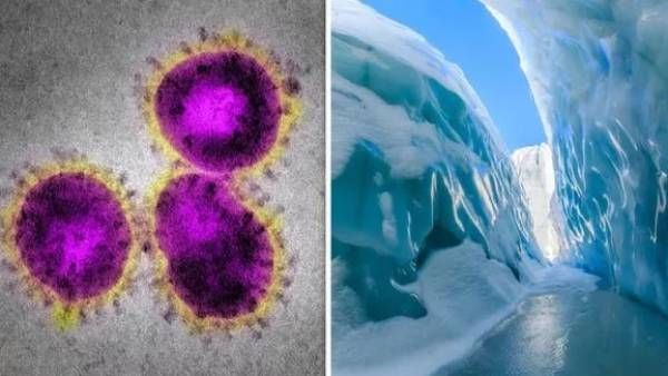 திபெத்தில் 15,000 ஆண்டுகள் புதைந்திருந்த மர்மம்..! பனிப்பாறையில் 28 புதிய வைரஸ்கள் கண்டுபிடிப்பு