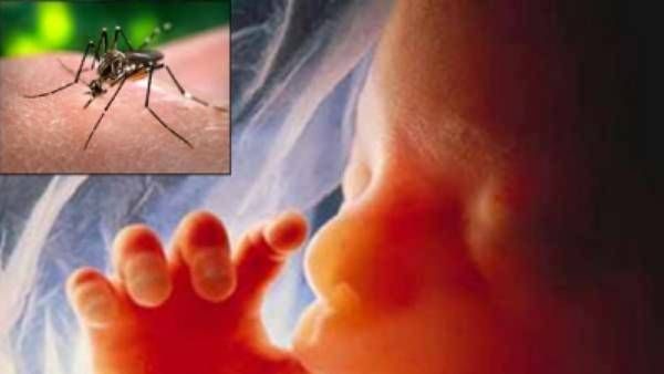 கேரளாவை அச்சுறுத்தும் ஜிகா வைரஸ்.. . தமிழ்நாட்டுக்கும் ஆபத்தா? அறிகுறிகள் என்ன? தடுப்பது எப்படி?