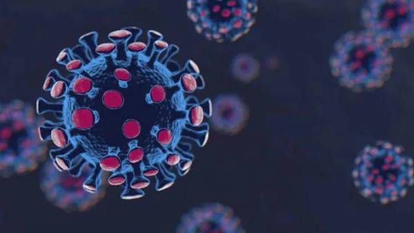 வெறும் 3 மணி நேரம்.. ஓமிக்ரான் கொரோனாவை துல்லியமாகக் கண்டறியலாம்.. தமிழக அரசு அதிரடி நடவடிக்கை