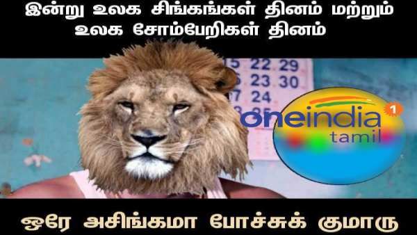 நான் காட்டுக்கே ராஜா... என்னை போய் இப்டி ஒண்டிபுலிகூட சேர்த்துட்டீங்களே.. ஒரே அசிங்கமா போச்சு குமாரு