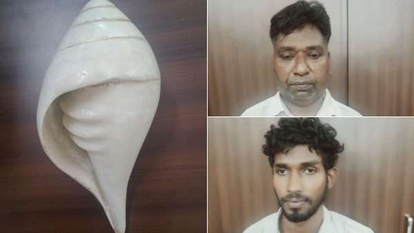 அரிசியை இழுக்கிறது, பால் தயிராக மாறுகிறது.. சதுரங்க வேட்டை சங்கு மோசடி.. பொறி வைத்து பிடித்த போலீஸ்