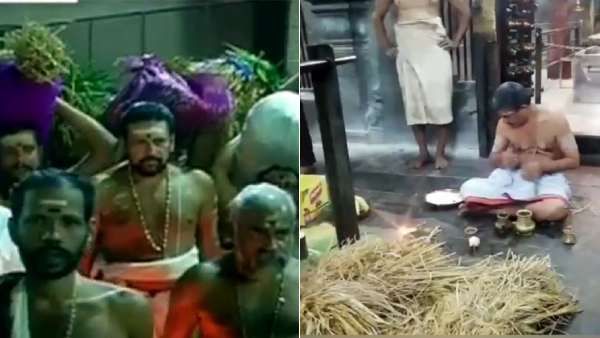 நிறை புத்தரிசி பூஜை: சபரிமலை ஐயப்பன் கோவில், குமரி மாவட்ட கோவில்களில் கோலாகலம்