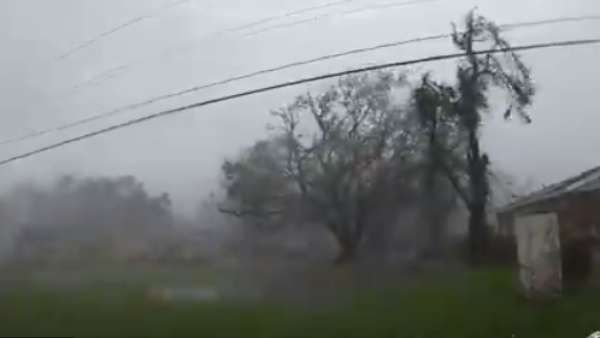 Ida: மணிக்கு 240 கி.மீ. வேகத்தில் சூறாவளி.. வீடியோ பார்த்தால் ஏதோ பேய் படம் பார்க்கிற மாதிரி இருக்கு!