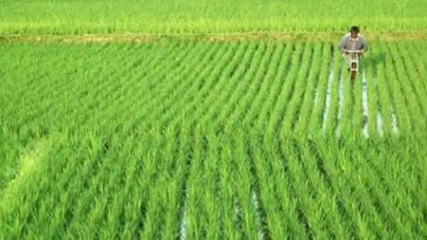 தமிழ்நாட்டில் முதல்முறையாக வேளாண் துறைக்கு தனி பட்ஜெட்.. ஆகஸ்ட் 14ஆம் தேதி தாக்கலாகிறது