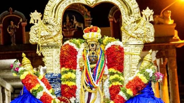 ஸ்ரீரங்கம் ரங்கநாதர் கோவிலில் பவித்ரோத்சவம்: நெல்லளவு கண்டருளிய நம்பெருமாள்