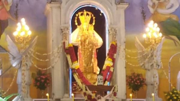 தூத்துக்குடி பனிமய மாதா பேராலய பெருவிழா: தங்கதேர் பவனி ரத்து - நேரலையில் விழாவை காண வேண்டுகோள்