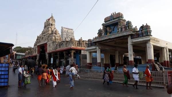 ஆடிக்கிருத்திகை : தமிழ்கடவுள் முருகப் பெருமான் அருள்பாலிக்கும் அறுபடை வீடுகள் தரிசனம்