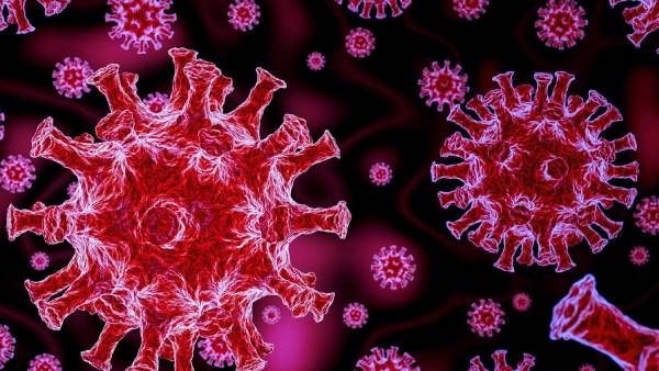 2009இல் தோன்றிய பன்றி காய்ச்சலே இன்னும் அழியவில்லை.. பிறகு கொரோனா எப்படி அழியும்.. பகீர் கிளப்பிய WHO