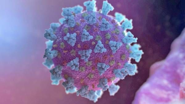 'ஆபத்தான கலவை..' புது புது உருமாறிய கொரோனா வகைகள் உண்டாக என்ன காரணம்? உலக சுகாதார அமைப்பு விளக்கம்