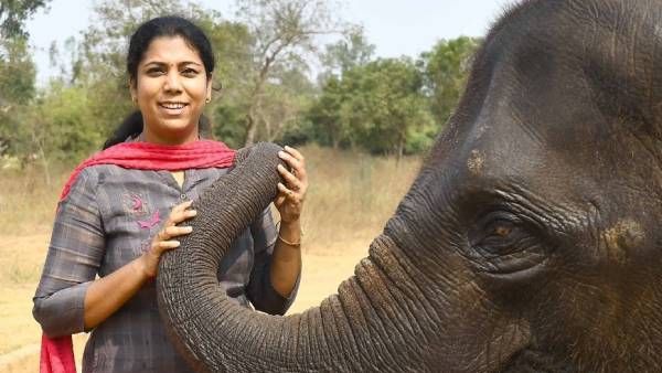 'சுதா ராமன் ஐஎப்எஸ்'.. ஒரே நாளில் டிரெண்டாகும் அதிகாரி.. அவரது வாழ்வில் நடந்த மாற்றங்கள்!