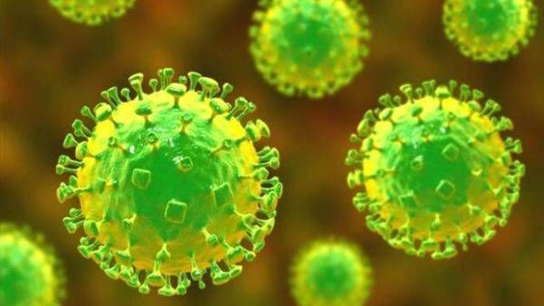 கொரோனாவிற்கு இடையே கேரளாவில் மீண்டும் நிபா வைரஸ் தாக்குதல்.. சிறுவன் பரிதாப பலி.. அதிர்ச்சி!