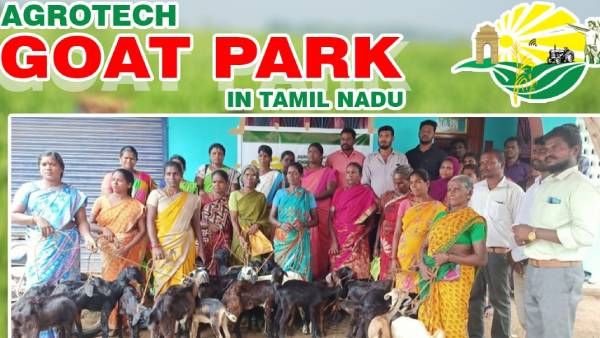 குறைந்த முதலீட்டில் ஆடு வளர்ப்பு.. அதிகபட்ச இலாபம்!