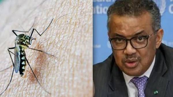 Mosquirix - உலகின் முதல் மலேரியா வேக்சினுக்கு WHO ஒப்புதல்.. இனி பல லட்சம் குழந்தைகளை காப்பாற்றலாம்