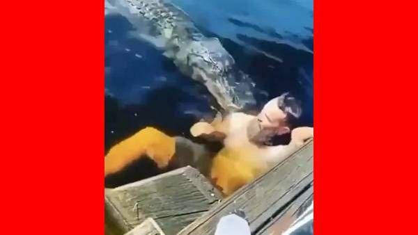 ஏரிக்கரையில் ஒரே பரபரப்பு.. நீந்தி கொண்டிருந்த நபர்.. திடீர்னு வந்த முதலை.. என்னாச்சு?