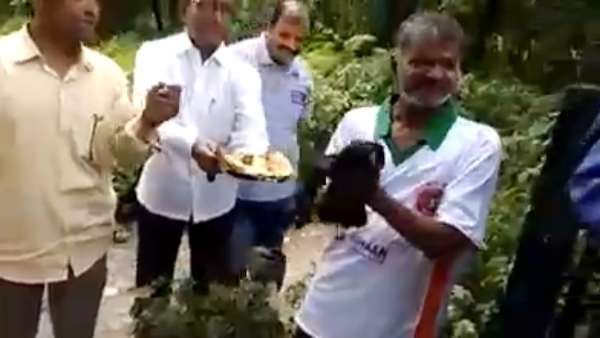 அமாவாசை: கா.. கா.. னு கத்தி தொண்டை தண்ணி வத்தி போச்சா.. போன் செய்யுங்க.. ரூ.50-க்கு வாடகை காக்கா...