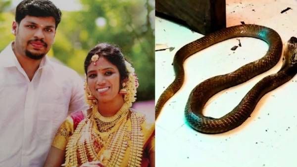 பாம்பை விட்டு கடிக்க வைத்து.. மனைவி கொடூர கொலை.. கணவர் குற்றவாளி.. நீதிமன்றம் தீர்ப்பு!