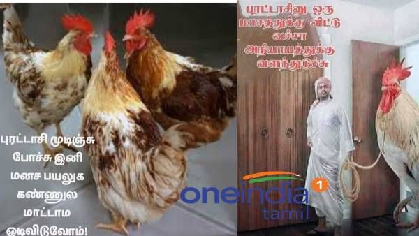  புரட்டாசினு ஒரு மாசம் விட்டு வச்சா... அநியாயத்துக்கு இப்டி வளர்ந்து நிக்குது இது!