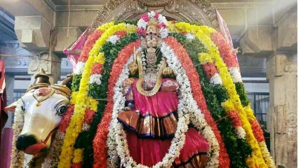 ஸ்ரீரங்கம் ரங்கநாதர் கோவில் ரங்கநாச்சியார் கோவிலில் நவராத்திரி உற்சவம் - தாயார் திருவடி தரிசனம்