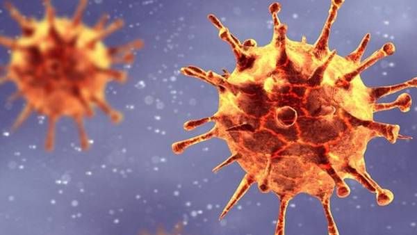 தமிழ்நாட்டில் இந்த 10 மாவட்டங்களில் நோய் எதிர்ப்பு சக்தி அதிகரிப்பு.. 3 மாதங்களில் 70 சதவீதம் உயர்வு