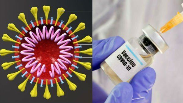 இத்தனை நாளும் இது தெரியாம போச்சே.. கொரோனா தடுப்பூசியால் இவ்வளவு நன்மைகளா.. புது ஆய்வின் முடிவு