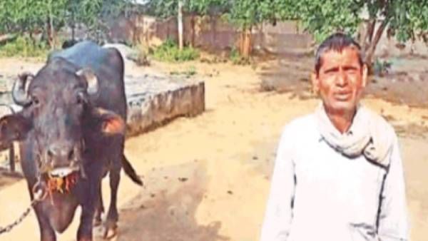 'பால் கறக்க மறுக்கிறது'.. 'என்னானு கேளுங்க'.. எருமை மாடுடன் வந்து போலீசில் புகார் கொடுத்த விவசாயி!