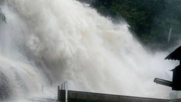 நெல்லையில் தொடர்மழையால் நிரம்பிய அணைகள்: தாமிரபரணியில் பெருகிய வெள்ளம் - செல்பி எடுக்கத் தடை