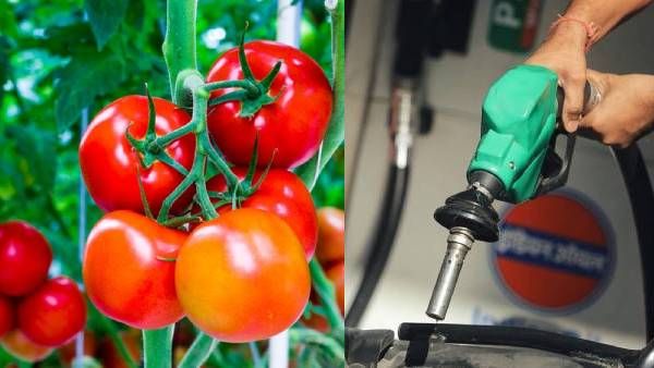 ஆந்திராவிலேயே இந்த நிலையா? பெட்ரோல், தக்காளி இரண்டும் ஒரே விலைதான்.. கலங்கும் மக்கள்!