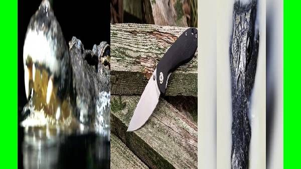 தாத்தா கிரேட் எஸ்கேப்.. பாக்கெட் கத்தியை வைத்தே.. முதலையிடம் இருந்து தப்பிய அதிசயம்..!