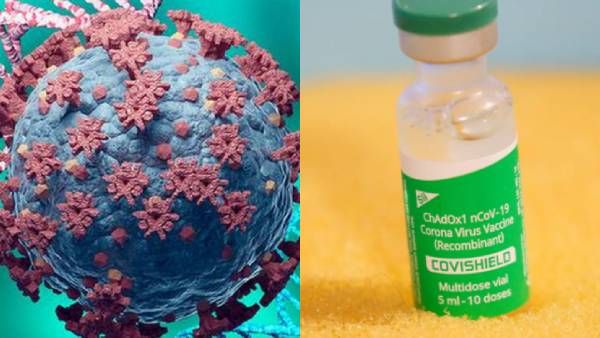 ஓமிக்ரான் வைரசை கட்டுப்படுத்துமா தங்கள் தடுப்பூசி? கோவிஷீல்ட் தயாரிப்பு நிறுவனம் ஆய்வு