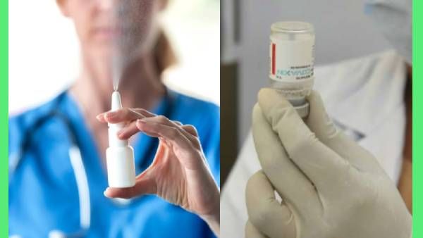 'நாசில் ஸ்பிரே'.. 6 மாதம் கழித்து பூஸ்டர் தடுப்பூசி போட்டால் சிறந்தது: பாரத் பயோடெக்