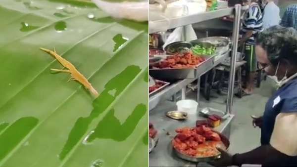 சிக்கன் பிரியாணியில் கோழி இறகு... பிரபல ஹோட்டலில் உணவு பாதுகாப்புத் துறையினர் சோதனை..!