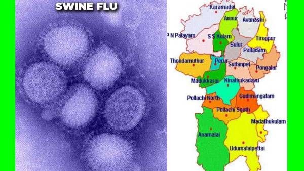 Swine Flu: கோவைக்கு வந்த அடுத்த சிக்கல்.. பன்றி காய்ச்சல் நுழைந்தது எப்படி?.. 2 பேருக்கு அறிகுறி..!