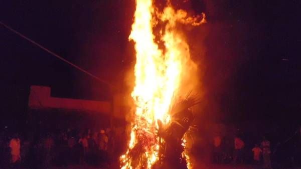 திருக்கார்த்திகை தீபம் தமிழக கோவில்களில் கோலாகலம் - சொக்கனுக்கு உகந்த சொக்கப்பனை ஏற்றி வழிபாடு