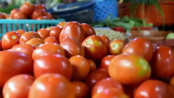 தக்காளி விலை மீண்டும் உயர்வு... முருங்கைக்காயும் விலை உச்சத்தில் - இனி வெறும் புளி ரசம்தான்