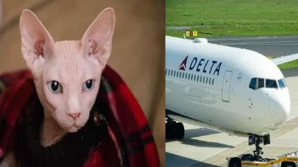 தாய்ப்பால் தந்த பெண்.. ஆக்ரோஷமாக கத்திய 