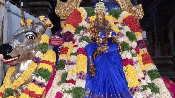 மதுரை அஷ்டமி சப்பர வீதி உலா: மக்களுக்கு படியளந்த மீனாட்சி சுந்தரேஸ்வரர்